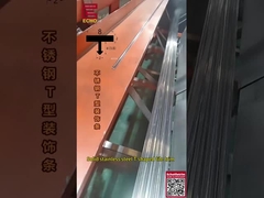 ৮০০ কেজি/মি স্টেইনলেস টি-ট্রিম পরীক্ষিত - ২০ বছরের লবণ জলের গ্যারান্টি সহ মেরিন গ্রেড এজ গার্ড